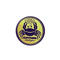logo kopithink